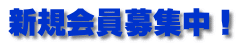 �V�K�����W���I